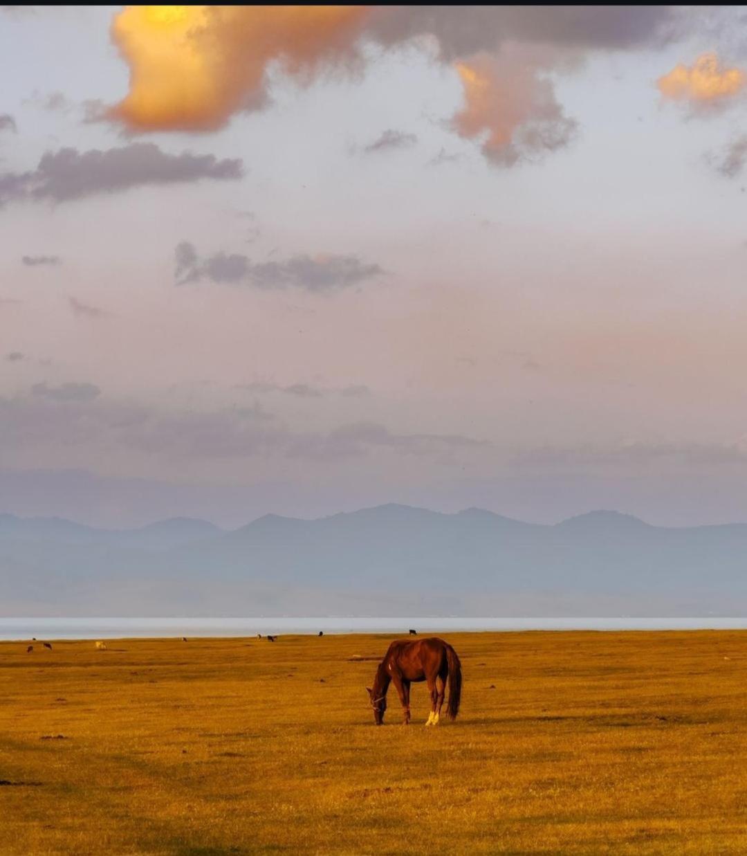 Отель Zalkar Yurt Camp Song-Kul Экстерьер фото